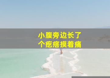 小腹旁边长了个疙瘩摸着痛