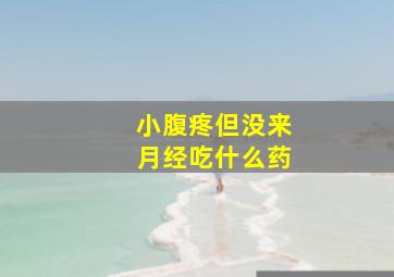 小腹疼但没来月经吃什么药