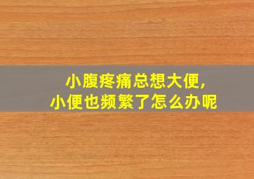 小腹疼痛总想大便,小便也频繁了怎么办呢