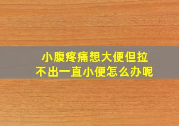 小腹疼痛想大便但拉不出一直小便怎么办呢