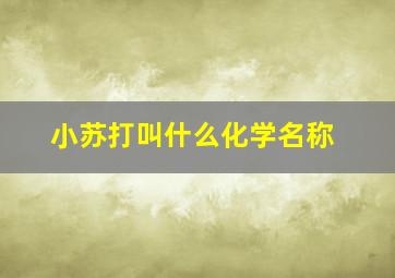 小苏打叫什么化学名称