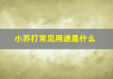 小苏打常见用途是什么