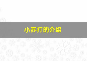 小苏打的介绍