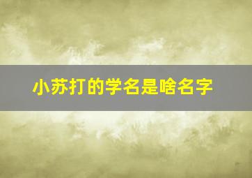 小苏打的学名是啥名字