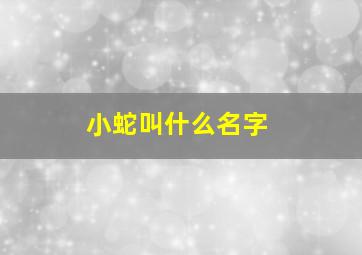 小蛇叫什么名字