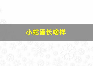 小蛇蛋长啥样