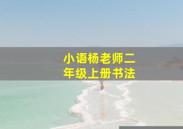 小语杨老师二年级上册书法