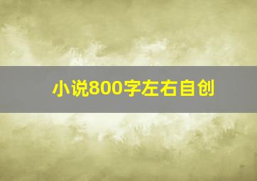 小说800字左右自创