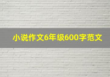 小说作文6年级600字范文