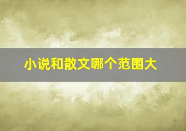 小说和散文哪个范围大