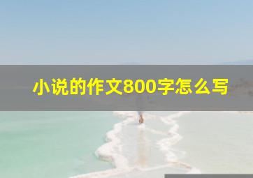 小说的作文800字怎么写