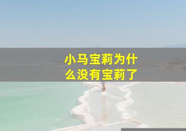 小马宝莉为什么没有宝莉了