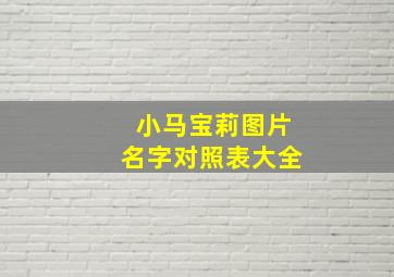 小马宝莉图片名字对照表大全