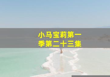 小马宝莉第一季第二十三集