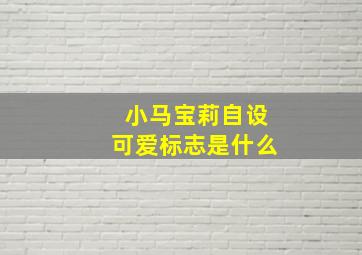 小马宝莉自设可爱标志是什么