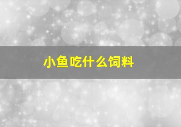 小鱼吃什么饲料