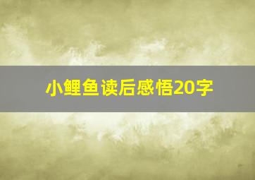 小鲤鱼读后感悟20字