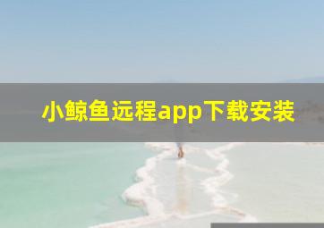 小鲸鱼远程app下载安装