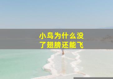 小鸟为什么没了翅膀还能飞