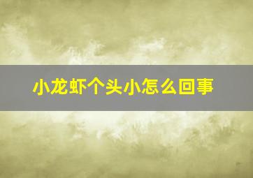 小龙虾个头小怎么回事