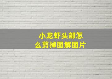 小龙虾头部怎么剪掉图解图片