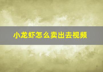 小龙虾怎么卖出去视频