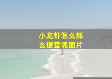 小龙虾怎么那么便宜呢图片