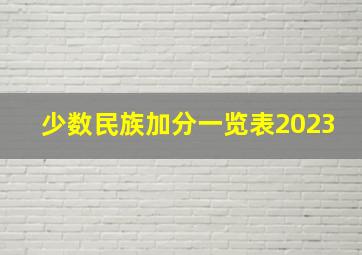 少数民族加分一览表2023