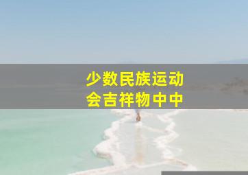 少数民族运动会吉祥物中中