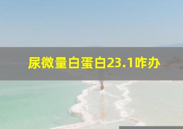 尿微量白蛋白23.1咋办