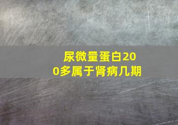 尿微量蛋白200多属于肾病几期