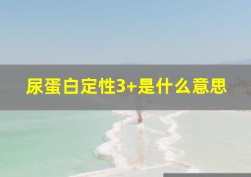 尿蛋白定性3+是什么意思