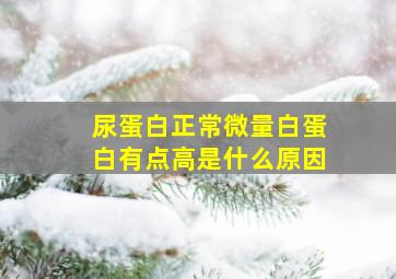 尿蛋白正常微量白蛋白有点高是什么原因