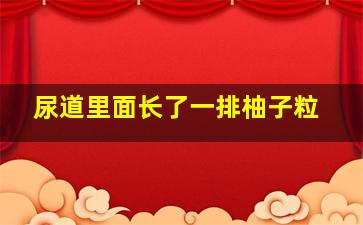 尿道里面长了一排柚子粒