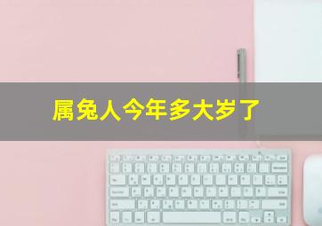 属兔人今年多大岁了