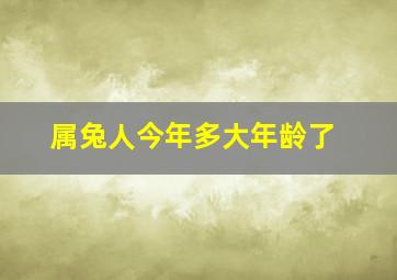 属兔人今年多大年龄了