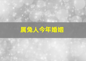 属兔人今年婚姻