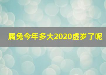 属兔今年多大2020虚岁了呢