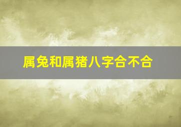 属兔和属猪八字合不合