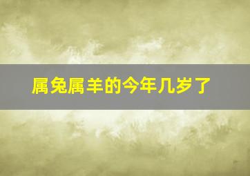 属兔属羊的今年几岁了