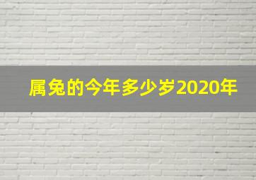 属兔的今年多少岁2020年