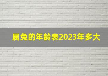 属兔的年龄表2023年多大