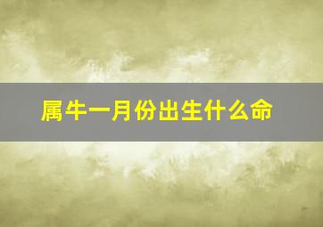 属牛一月份出生什么命