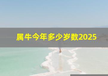 属牛今年多少岁数2025