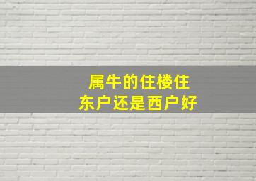 属牛的住楼住东户还是西户好