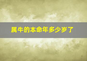 属牛的本命年多少岁了