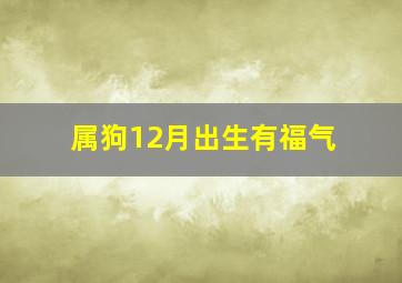 属狗12月出生有福气