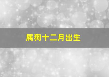 属狗十二月出生