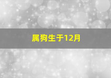 属狗生于12月