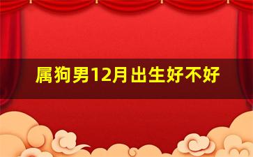 属狗男12月出生好不好